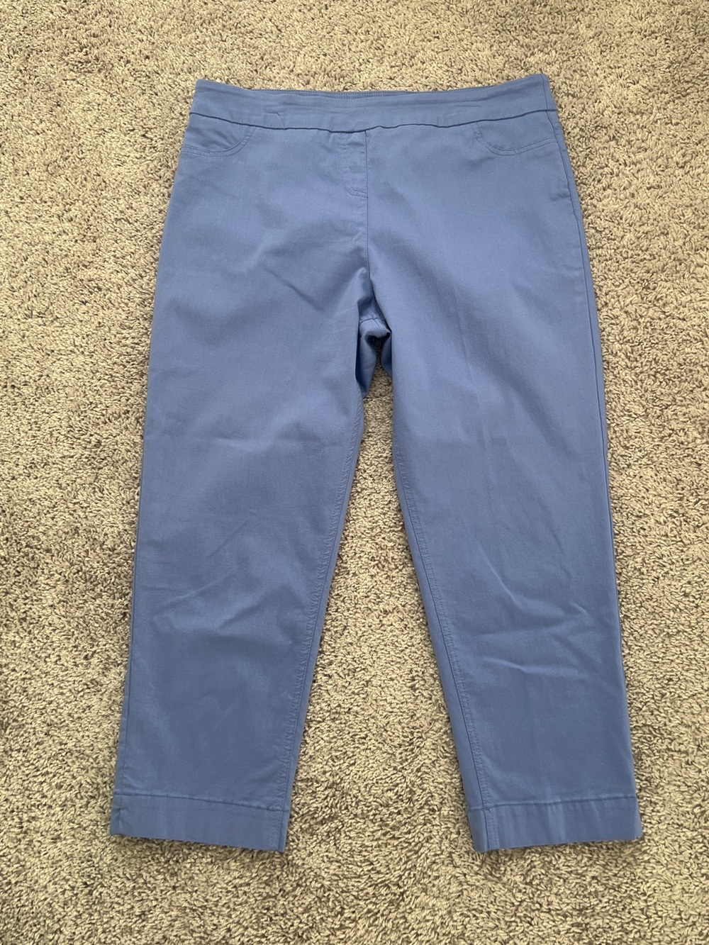 Soft Surroundings Cropped Straight-Leg Pants in Periwinkle Blue Sz XL